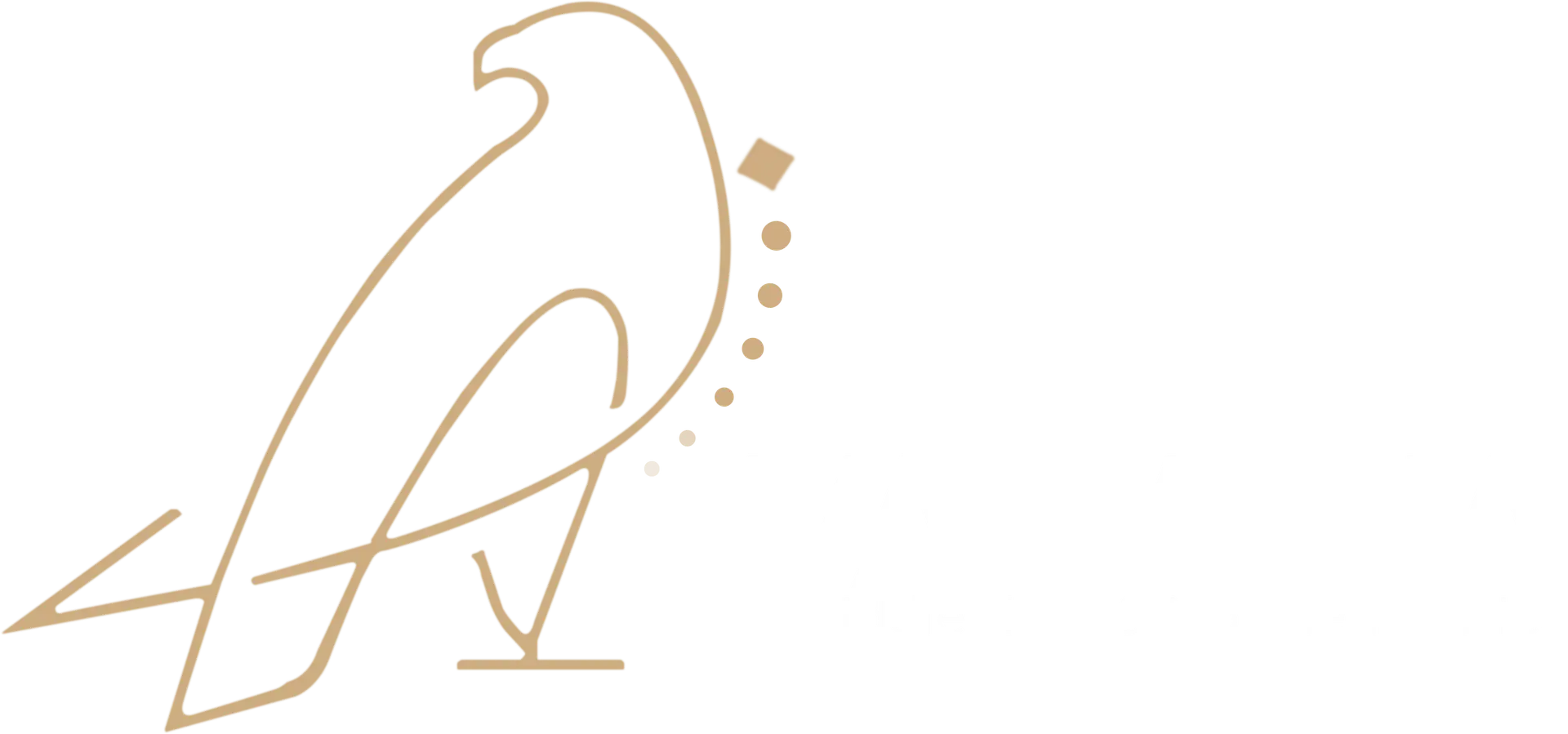 Region Image